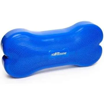 Socialization, Fun, Bonus cool things