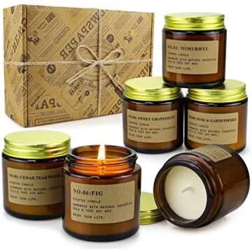 Highly Rated + Lots of Reviews