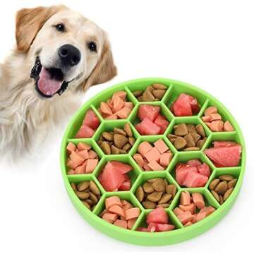 Canine Enrichment Ideas