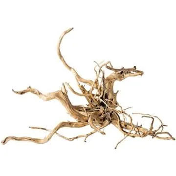 seasonal decor | fall