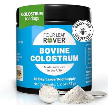 Senior dog must haves 🐾