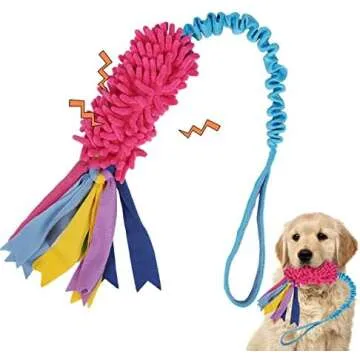 Durable Toys and Enrichment items