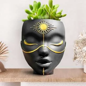 Shop my Amazon Dining Room