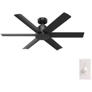 Ceiling Fans