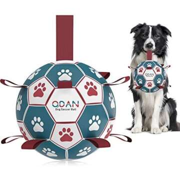 Pet Gear (for the traveling pups)