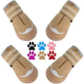 Apparel and Accessories