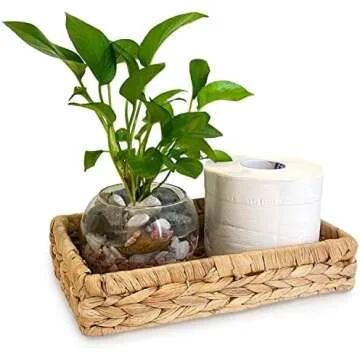 Bathroom Decor/Essentials