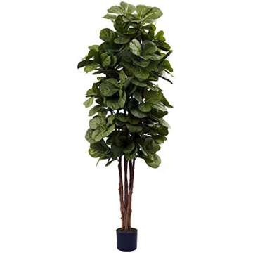 Home Decor Decorative Items