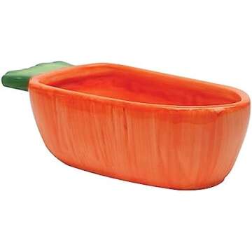 Rabbit Ownership Essentials