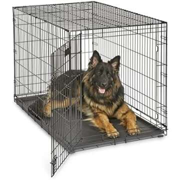 Standard Furry Baby Essentials