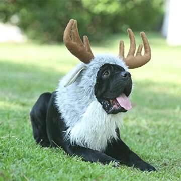 Funniest Dog Costumes | Unique Dog costumes for Halloween 2024