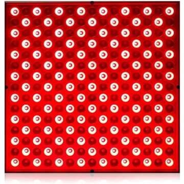 Therapy for Muscle & Joints