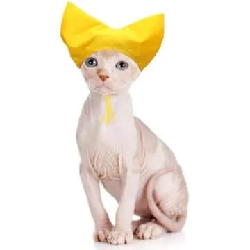 Sphynx Cat Supplies