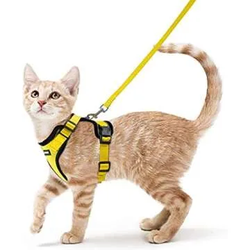 Cat Harnesses & Leashes