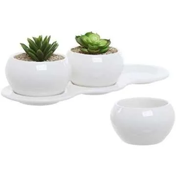 Backyard and Garden Living