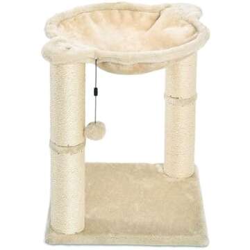 Cat Condos and Beds