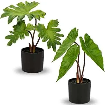 Favorite AirBnb Decor