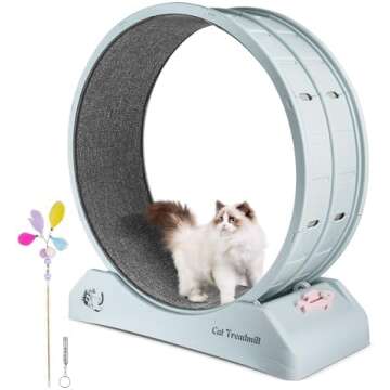 Cat toys/treadmill