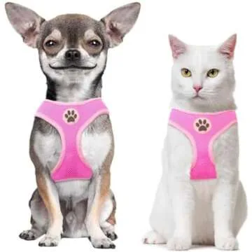 Playpen & Transportation