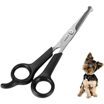 Labradoodle Recommendations