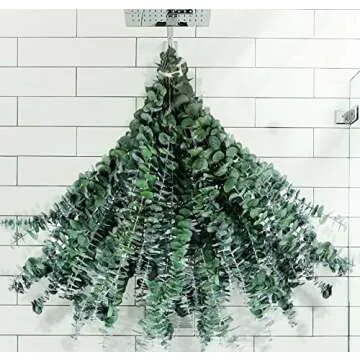 Guest room and bathroom organization