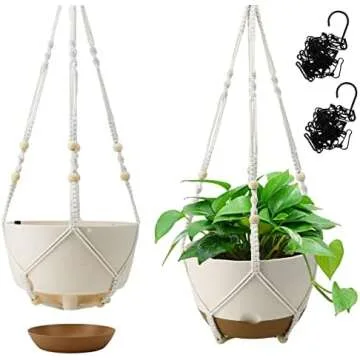 Indoor Plants: Greenery to Brighten Your Space