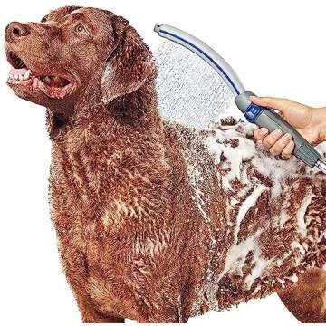 Dog Grooming