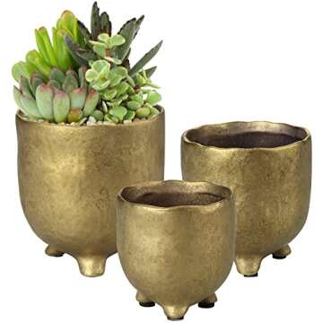 Trees, Plants and Planter Stands