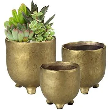 Trees, Plants and Planter Stands