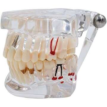 Dental Assistant Learning Tools