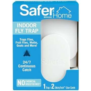 Home & Decor Favorites