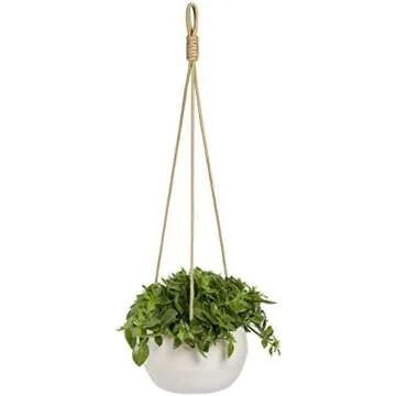 Decorative Planters & Baskets