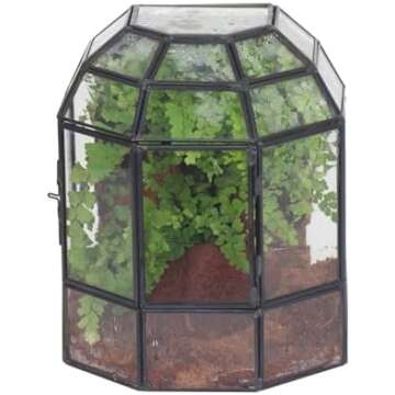 Terrariums and Glass Containers