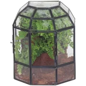 Terrariums and Glass Containers