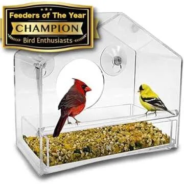 Learning about Nature