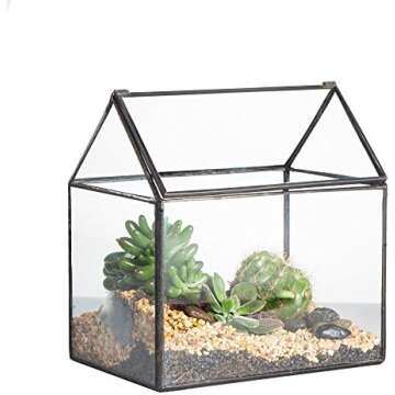 Terrarium Container Possibilities