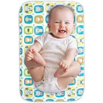 Child Car Seats and Accessories