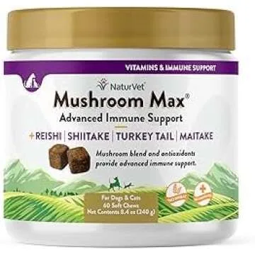 Supplements for Dogs