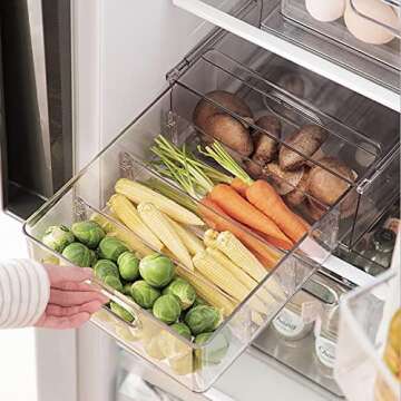 Refrigerator Organization