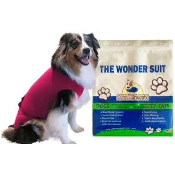 Apparel & Accessories