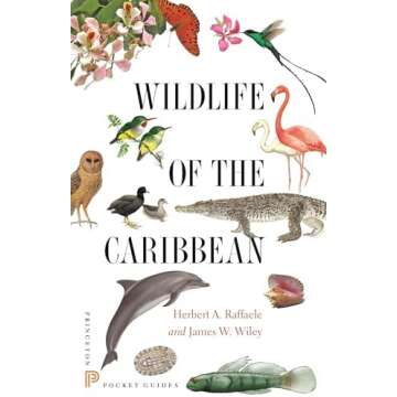 Caribbean Wildlife