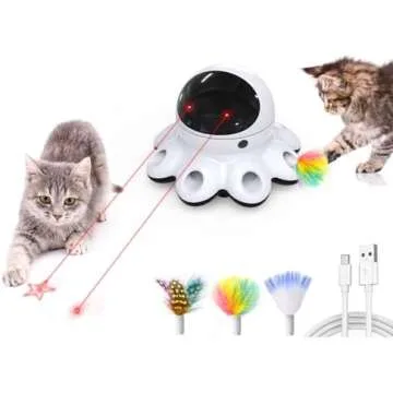 Interactive Cat Toys