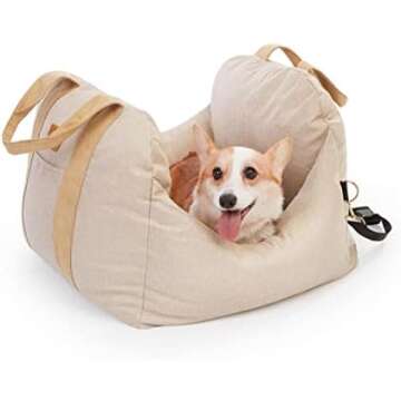 Dog essentials (things I buy for my mini dachshund)