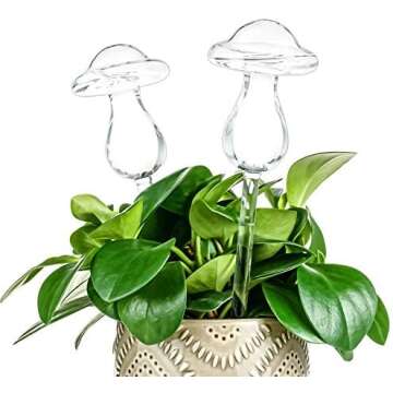 🪴PLANT ESSENTIALS🪴