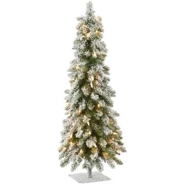 Christmas Decor 🎄