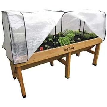 Grow your Own Veggies and Herbs