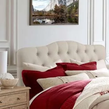 🛏️Guest Bedroom