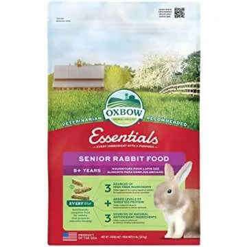 Gifts and Treats Every Bunny Owner Should Have