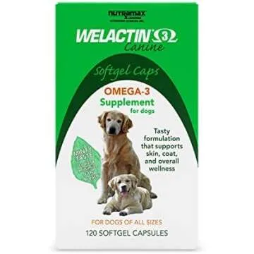 Dog Arthritis Thingz