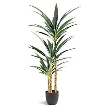 Home Décor Accessories